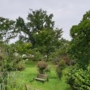 하촌할머니 이미지