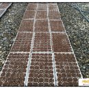 녹지농장 이미지