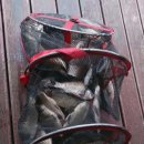 2박3일낚시터 이미지