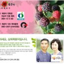 상희농장 이미지