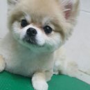 현대미용타운 이미지