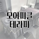 피클테라피