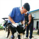 다사랑목장 이미지