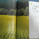 덕성목장 이미지