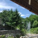 돌고개늘품 이미지