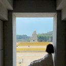 미륵사지유물전시관 | 익산 여행 코스 미륵사지 석탑 국립 익산박물관 기념품 전북 아이와 가볼만한곳