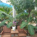 제천시농업기술센터 | 제천 나만 알고싶은 제천여행코스 아열대스마트온실 1편 방문 후기