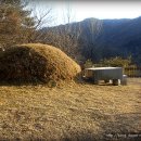 바우덕이(김암덕)묘 이미지