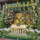 스위스약국 이미지