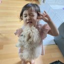 대방동물병원 | 대방동 동물병원추천 신대방동물메디컬후기