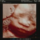 메디파크산부인과의원 이미지