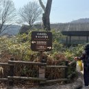 여우목벨리민박 | 37개월 아이와 에버랜드 워킹사파리 후기 │주차, 예약, 동선, 꿀팁 정리