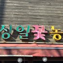 상일꽃농원
