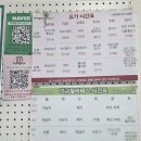 야샤요가