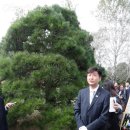 흙과소나무 이미지