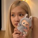 더 큰마트 이미지