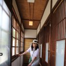 태백산맥거리 이미지