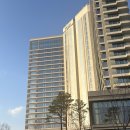 인터파크호텔커피숍 | [강원도/강릉] 신라모노그램강릉 레지던스 금토 숙박후기