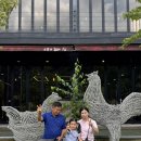 가평하늘정원 | 가평 가족 나들이, 아이와 함께 아침고요수목원 솔직 후기!