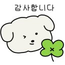 에이스테니스아카데미