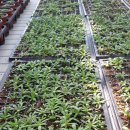 이신농장 이미지