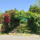 터널경로당 이미지