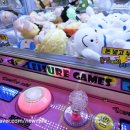 보라카이오락실 이미지