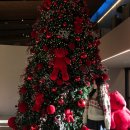 석산카부분정비 | 전남 목포 대형 트리 카페 석산 주말 방문 솔직 후기