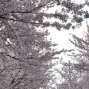 희우정로 46 네이버블로그