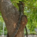 청림전자 이미지