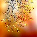 수리산둘레길 이미지