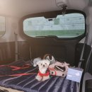 포포즈 반려동물장례식장 화성점 이미지