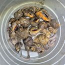 안산-대부-대부-풍도1 이미지