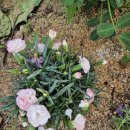 문산농약사 이미지