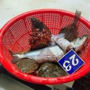 속초 먹거리 동명항 한일물산 단천식당 간이해수욕장 외옹치해수욕장