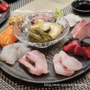 세종 나성동 가성비 오마카세 소라 내돈내산 후기