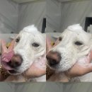 멍즈니랜드 이미지
