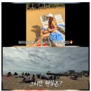 하와이 골프스튜디오 | 배우 채정안 하와이 휴가 중 여권 분실 사건 "낭만은 없고 재난만 있었다" [연예인]