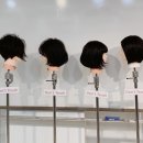 존앤섹션 아카데미코리아