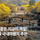 경주축구공원주차장 이미지