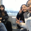 얌도리
