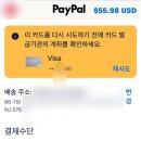 인터넷클릭I | 폴로 랄프로렌 직구 배대지 통해 2025 블랙프라이데이 구매 성공 후기