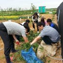 대산농장2 이미지