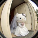 K-디자인 | W. 로브드K 촬영 가봉 후기ㅣ드레스 지정 혜택, 시안, 준비물 총정리!