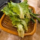 둔산돌구이 이미지