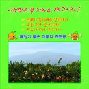 효돈동 주민센터 이미지