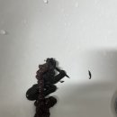 물들임 - 해운대구 | 물들임