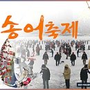 평창송어축제 이미지