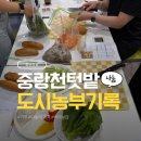 우리나눔지원정보 | [공지] 1인가구 꿀정보 텃밭에서 자란 쌈채소 나눔 후기(feat.식의보감)