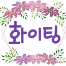 윈윈테라피 - 22633 | 윈윈테라피